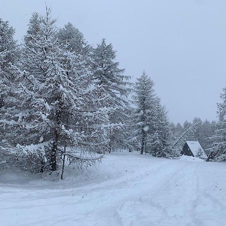 Chalet Bastilor La Joue du Loup Exteriör bild
